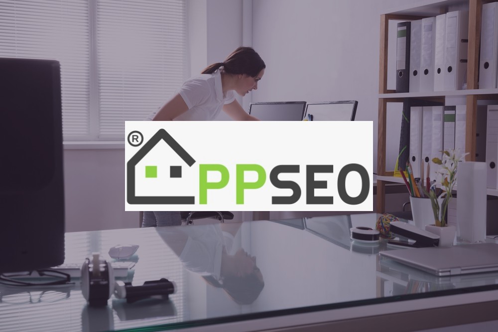 PLP PARTNERS appseo
